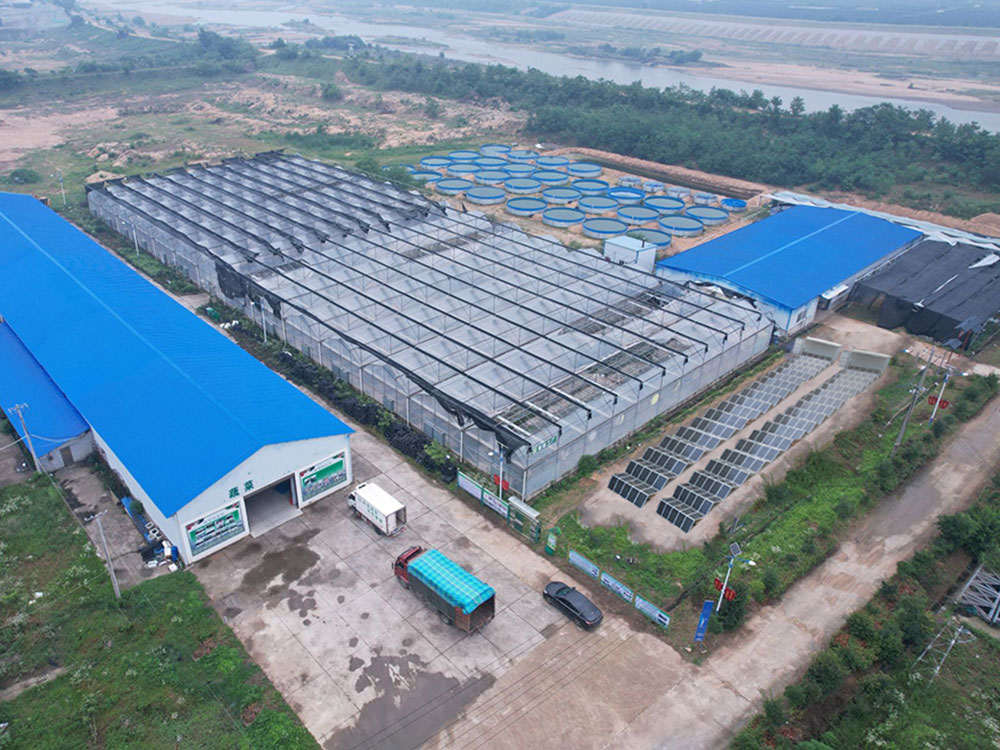 Solar Power Containers for Itse toimitettu virtalähde